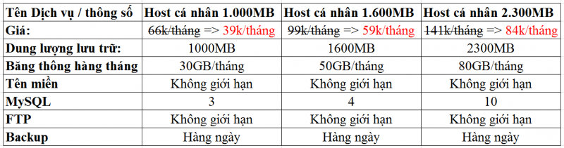 hosting-viet-giam-40-hosting